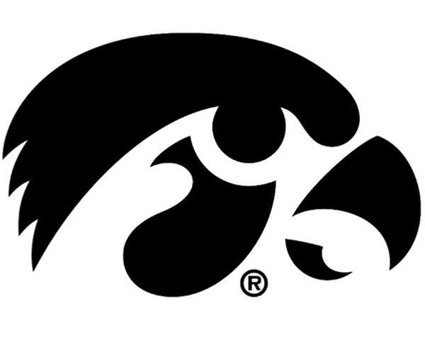 Tigerhawk logo in black